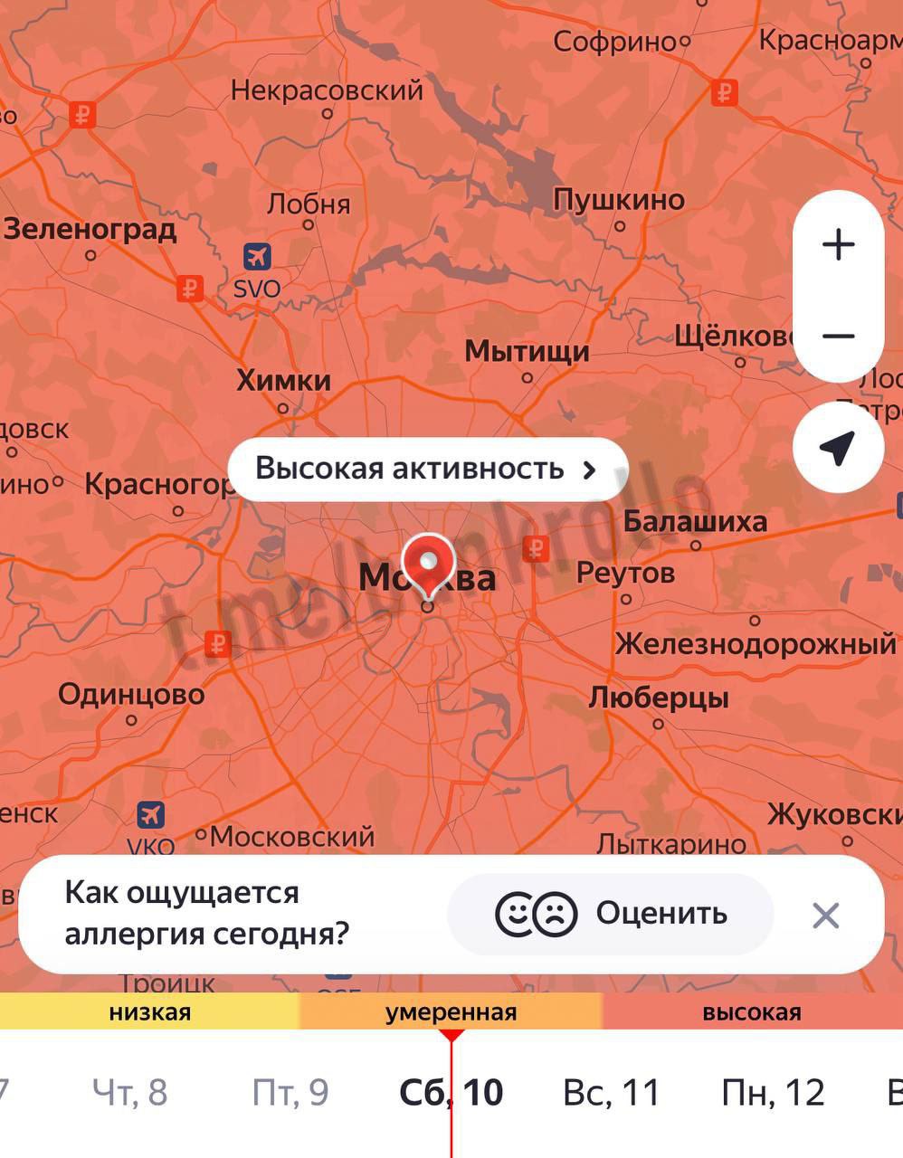 Берёзы устроили ад для аллергиков в Москве. Сегодня концентрация пыльцы в воздухе особенно высокая. Завтра обстановка немного улучшится, но уже в следующий четверг ожидается ещё одна буря пыльцы.