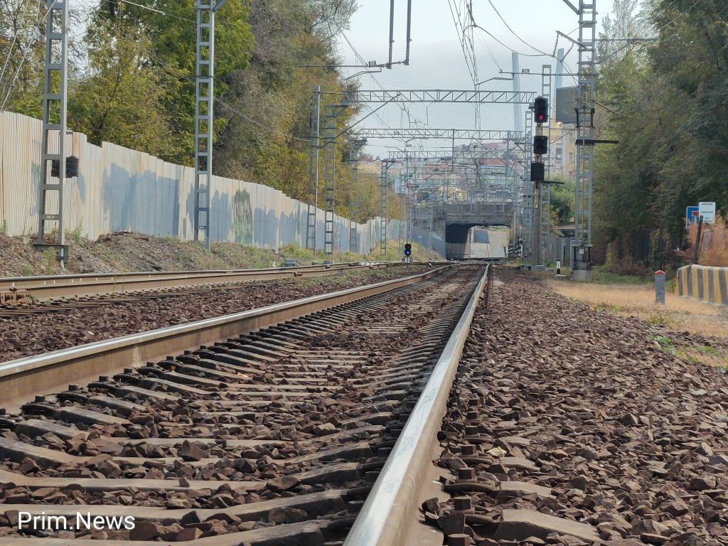 Поезд сбил насмерть пожилую женщину в Приморье  За прошедшие выходные во Владивостокском ЛУ МВД России на транспорте зафиксировано смертельное травмирование женщины электропоездом.  Сообщается, что между станциями Надеждинская и Кипарисово грузовым электровозом была смертельно травмирована 63-летняя женщина, переходившая железнодорожные пути в неположенном месте.   Машинист локомотива подавал звуковые сигналы, применил экстренное торможение,  но избежать наезда не удалось.