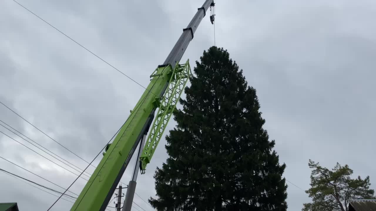 В Уфе установлена первая новогодняя ёлка для ледового городка