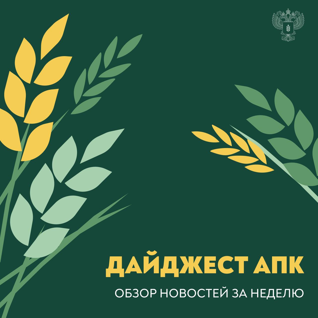 Обзор новостей АПК с 27 октября по 2 ноября Владимир Путин Россия обладает уникальными запасами биоресурсов Важно не только добыть их но и обеспечить переработку и транспортировку Дмитрий Патрушев уборочная кампания близка к завершению аграрии уже собрали 137 млн тонн зерна в бункерном весе Россия в этом году экспортировала продукцию АПК на 28 6 млрд долларов Растут поставки молочки кондитерских изделий напитков и вин Торговля продукцией АПК между Россией и Китаем с начала года выросла на 15 Расширяется сотрудничество в научно технической сфере Минсельхоз расширяет сеть представителей за рубежом В этом году число сельхозатташе в Китае увеличится до четырех Правительство выделит более 34 млрд рублей на поддержку льготного кредитования АПК Доля молодых специалистов в АПК должна вырасти до 15 к 2030 году Стартовал Всероссийский конкурс Я в Агро для молодежи которая учится или работает в АПК или живет за городом Россия стала крупнейшим экспортером подсолнечного масла по итогам сезона дайджест