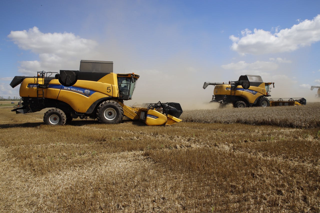 В России впервые ввели ГОСТ на фермерскую продукцию С 1 января вступил в силу стандарт который устанавливает единые требования к оформлению торговых зон с товарами от аграриев Теперь магазины обязаны предоставлять покупателям исчерпывающую информацию о производителе включая его местонахождение и точный состав продуктов По данным профильного ведомства сегодня фермерские хозяйства обеспечивают около 15 процентов всей сельскохозяйственной продукции в стране 1 2 Подпишись на новости Мы в MАХ