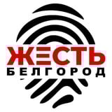 Аватар Телеграм канала: Жесть Белгород