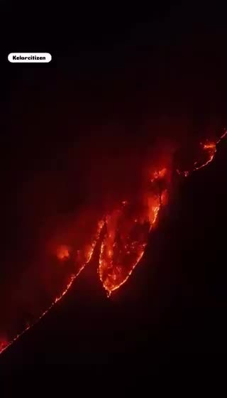 Иран получает международную помощь для тушения пожара в Гирканских лесах