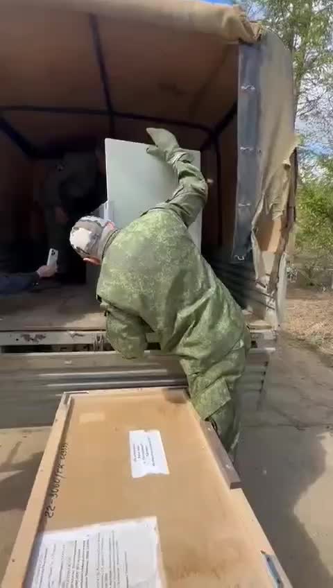 Медвежата-сироты в Приморье готовятся к встрече с гималайскими соседями