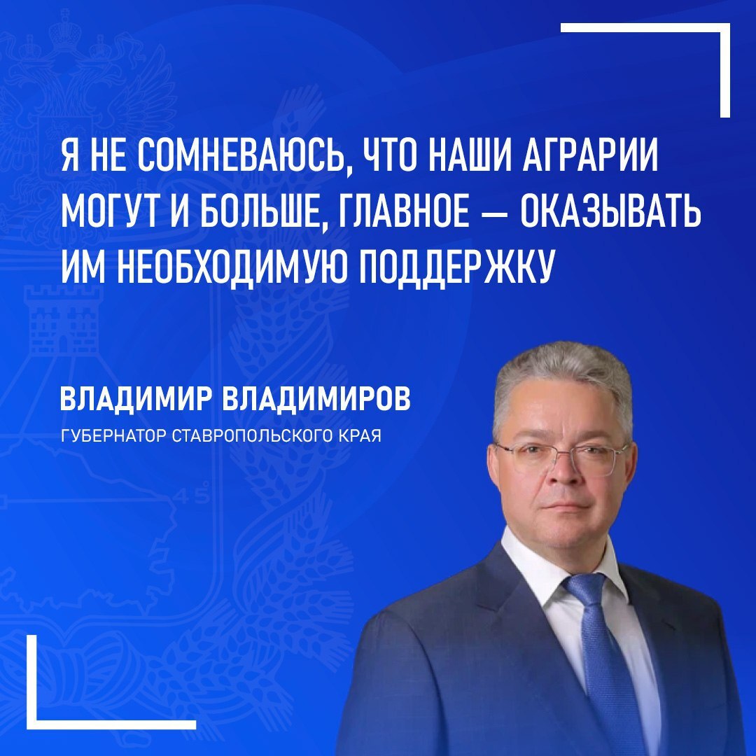 Ставрополье продолжит поддерживать сельское хозяйство В 2025 году аграрии Ставрополья собрали рекордные 10 млн тонн зерна Губернатор Владимир Владимиров во время прямой линии отметил что достижение стало возможно благодаря усилиям работников полей и федеральной поддержке Глава Ставрополья подчеркнул что в регионе продолжат работу по повышению эффективности сельского хозяйства региона и поддержке аграриев