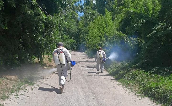 Власти Ростова отчитались о масштабной обработке города от комаров В Ростове с начала сезона активности комаров от них обработали уже 130 гектаров земель в парках, скверах и территорий городских лесов, отчитались в администрации города. Уточняется, что обрабатывают участки по заявкам жителей, но номеров телефонов, по которым их подавать, не назвали. Так, на минувшей неделе обработаны парк Левобережный, Зелёный остров, а 1 июля спецсредства пообещали распылить в парке Первая миля. Также за последние две недели, как сообщили в мэрии, обрабатывали территории по ряду адресов в Левенцовке, на улице Пескова в окрестностях станции Первомайской и спуска к Мёртвому Донцу, на Пушкинской, городской набережной, в районе Ростовского моря и реке Темерник в районе церкви Сурб-Хач, Можайских прудах и в других местах, где любят отдыхать горожане. «Губительное для комаров средство распределяется по поверхности с помощью специальных устройств. В дождь работы приостанавливаются, а при установлении благоприятной погоды возобновляются», — добавили в администрации. #новости #ростов #ростовскаяобласть #комары #клещи #обработка #насекомые #новостиростова