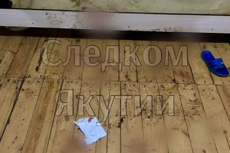 В Якутии возбуждено дело об убийстве на почве ссоры Новый год в селе Павловск закончился трагедией Читать подробнее на сайте