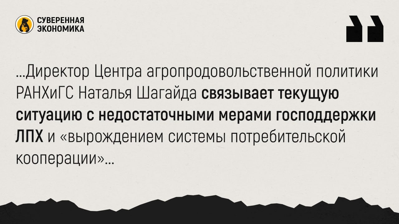 Из-за урбанизации и развития крупных агрохолдингов доля семейных ферм в России сократилась до минимума за 20 лет  Аналитики аудиторской компании Б1 подсчитали, что по итогам прошлого года доля личных подсобных хозяйств  ЛПХ  составила 25% в общем объеме выпуска сельхозпродукции. Это худший показатель за последние 20 лет. При этом в структуре производства сельхозтоваров доходы малых ферм в 2023 году достигли ₽2,1 трлн, когда как крупные сельхозорганизации и крестьянско-фермерские хозяйства заняли 60,7% и 14,3% соответственно, а в денежном выражении — ₽5,1 трлн и ₽1,2 трлн.  Исходя из среднегодовых темпов, доля малых и семейных фермерских хозяйств, по прогнозам аналитиков, к 2030 году может сократиться до 20%. Эксперты из Б1 считают, что тренды по укрупнению производств продолжатся из-за роста урбанизации и оттока населения из сельской местности.  Директор Центра агропродовольственной политики РАНХиГС Наталья Шагайда связывает текущую ситуацию с недостаточными мерами господдержки ЛПХ и «вырождением системы потребительской кооперации». Государство концентрируется на помощи крупным агрохолдингам стратегического значения, добавляет доцент кафедры статистики РЭУ им. Г. В. Плеханова Ольга Лебединская.  Увы, это печальная тенденция, а при выборе между продовольственной безопасностью и сохранением села ставка делается на первое. Но вместе с тем вопрос сохранения малых фермерских хозяйств напрямую влияет на сохранение сел и деревень, а это — фундамент для восстановления демографии, о чем мы не раз уже писали.