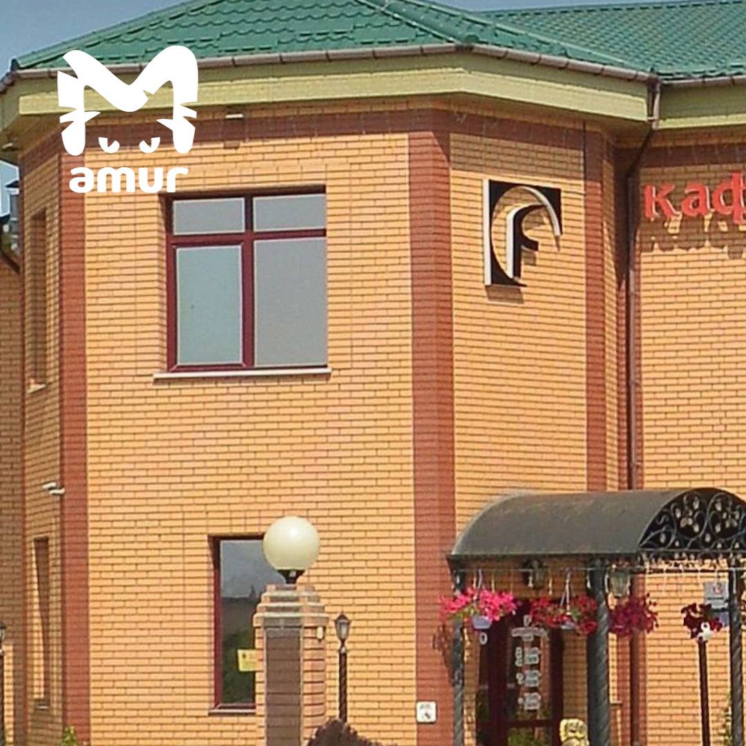 Около 20 человек отравились в популярном кафе Южно Сахалинска Многие из них дети Все пострадавшие ели сырные палочки из Федоровки на прошлой неделе Кто то был в самом заведении кто то заказывал доставку но после перекуса у каждого клиента случился один сценарий температура до 40 понос и поездка в областную больницу Как итог сальмонелла Точное число отравившихся пока неизвестно жалобы всё ещё поступают Роспотребнадзор уже проверяет точку следователи возбудили уголовное дело   Подписывайся на Amur Mash