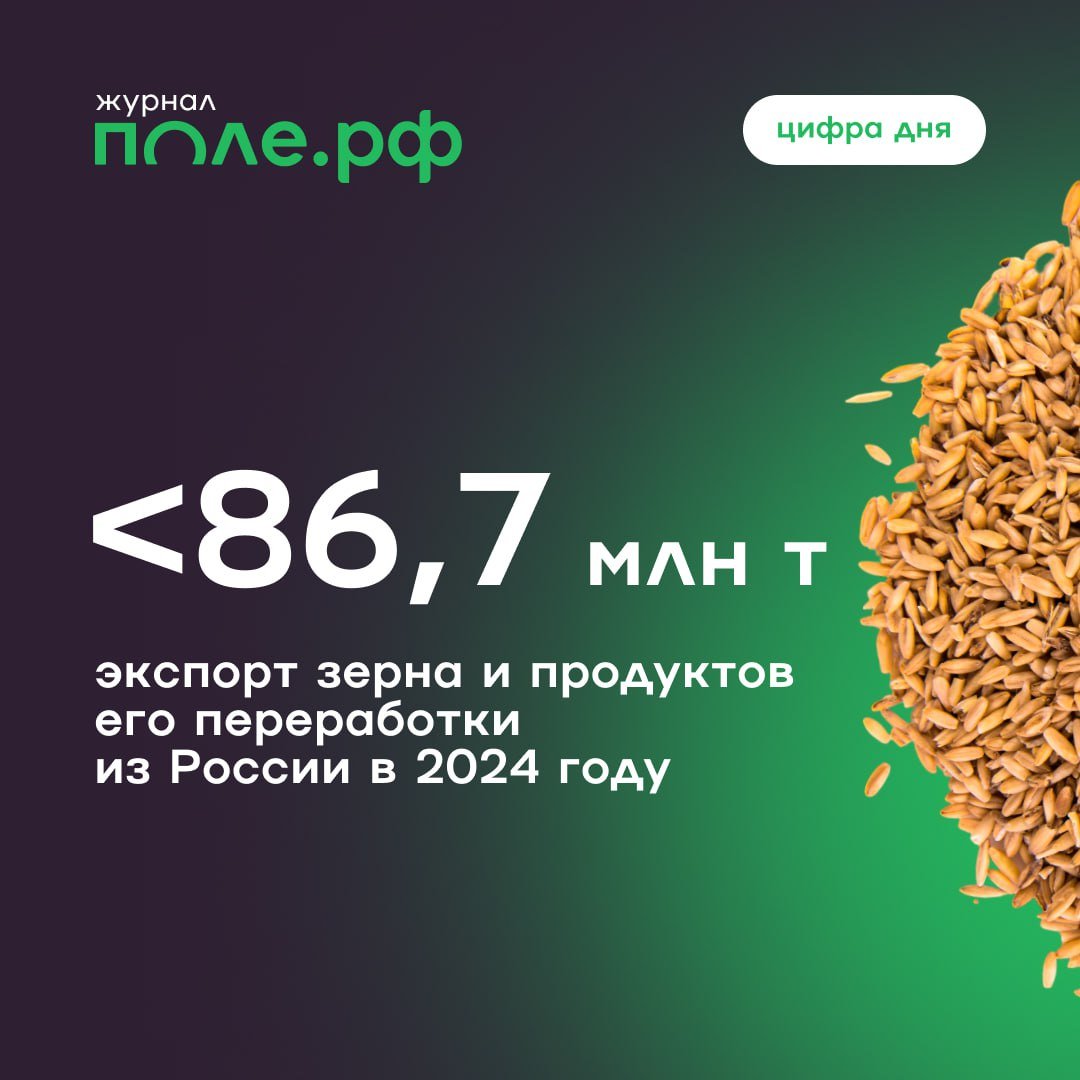 Поставки зерна и продуктов его переработки на внешние рынки по итогам 2024 года превысили показатель 2023-го на 2,8 млн тонн, сообщил Россельхознадзор.  Экспорт в разрезе культур:    Пшеница – 57,5 млн тонн    Ячмень – 8,2 млн тонн    Кукуруза – 6,7 млн тонн  Подробнее.