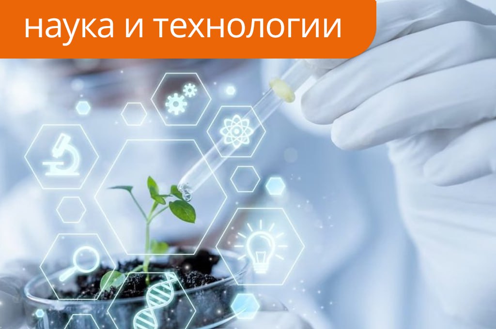 К 2050 году половина химпрома в России может перейти на белые биотехнологии Россия намерена к 2050 году довести долю так называемых белых биотехнологий промышленных биопроцессов с использованием живых клеток до 50 химического производства Стратегия развития биоэкономики предполагает что к 2035 году на долю биотехнологий будет приходиться 10 15 химической отрасли а к середине века до 50 Среди приоритетных направлений названы промышленная ферментация глубокая переработка биомассы использование газов как сырья для биосинтеза разработка биополимеров и применение ИИ в синтетической биологии Паспорт проекта по биоэкономике уже подготовлен а его реализация начнется в 2026 году