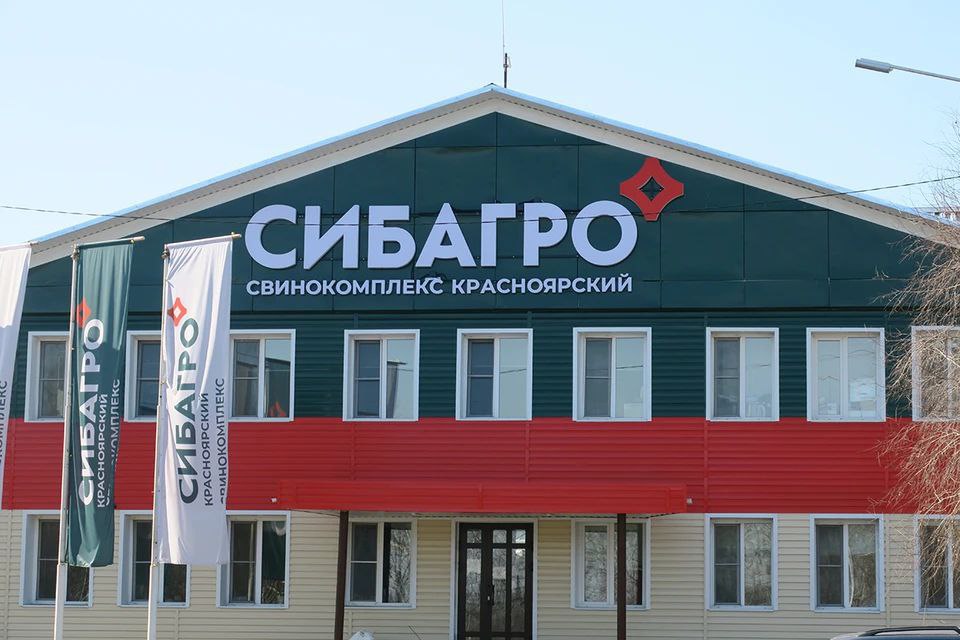 Трое работников свинокомплекса "Красноярский" погибли в Большемуртинском районе. Ещё один оказался в больнице. По данным прокуратуры, мужики пошли откачивать жидкие отходы. Первый спустился и не вернулся, за ним пошёл второй — то же самое. Третий также не выжил, когда искал товарищей. Четвёртый попал в реанимацию. Предварительно, причина смерти — отравление аммиаком. Следком возбудил уголовное дело о нарушении требований охраны труда.