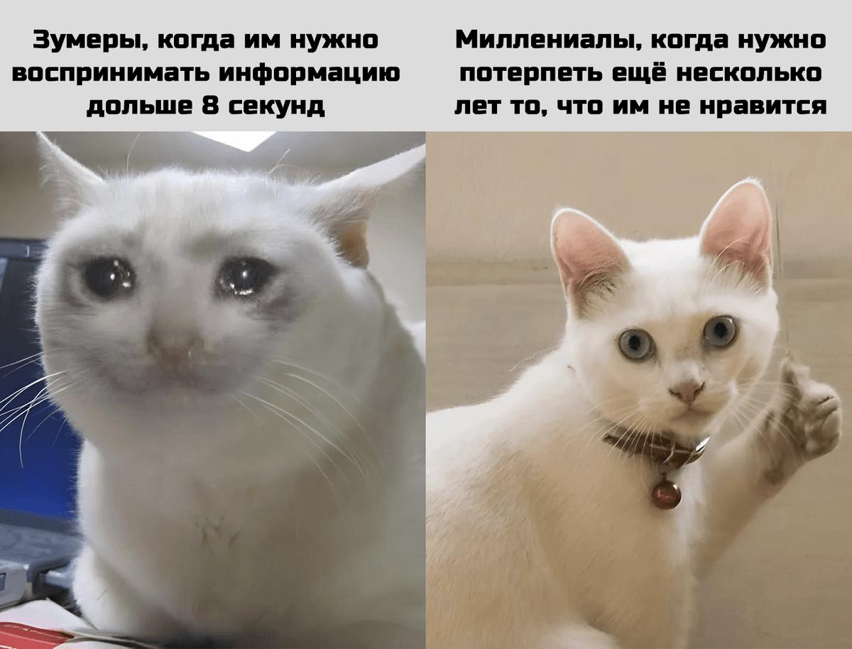 Четыре из пяти зумеров в России не хотят работать по графику 5/2.   Молодёжь мотивируют деньги, свобода и автономность, показал опрос Ventra Go. При этом каждый третий заявил, что готов трудиться лишь 2–4 часа в день и рассматривает только гибридный формат.