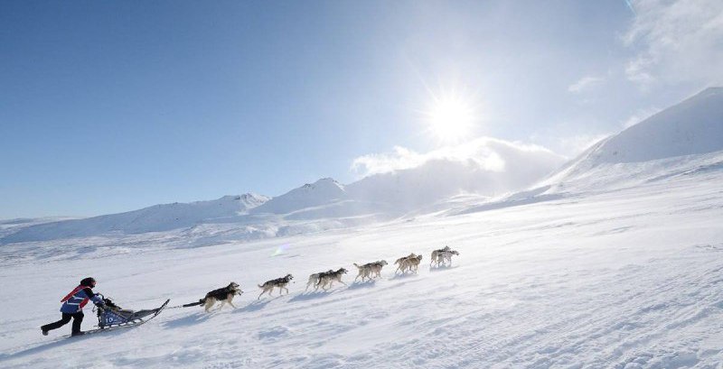 Стартовал прием заявок на участие в гонке Берингия Авача 2026 На Камчатке начинается подготовка к традиционному спринту на собачьих упряжках Начало соревнований запланирован на февраль 2026 года Нажмите для подробностей kam24 ru news main 20251110 122483 html utm source telegram utm medium messenger