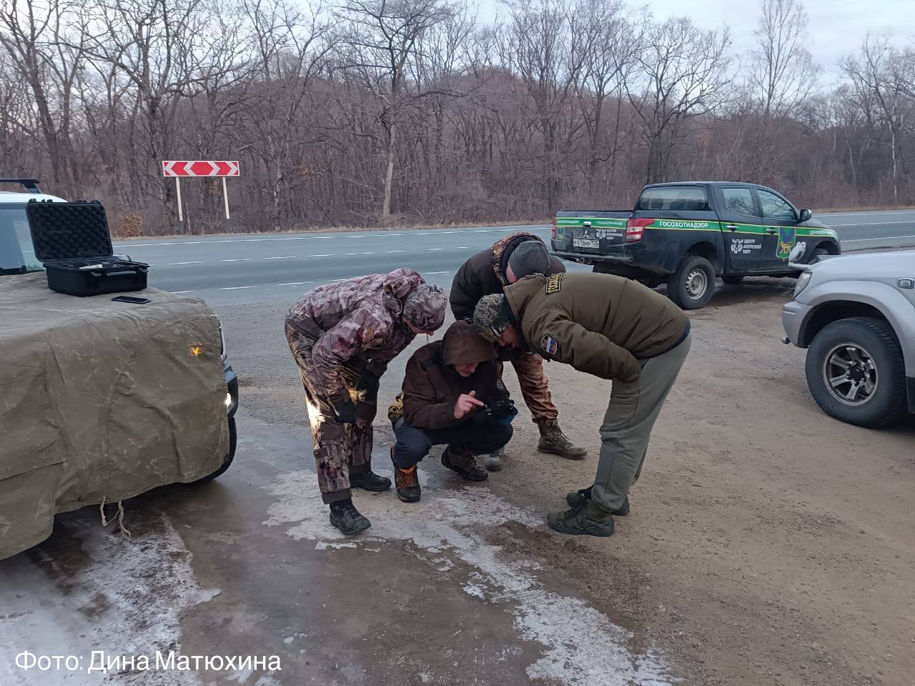 Амурский тигр был сбит автомобилем недалеко от села Барабаш. Дикое животное пережило столкновение и скрылось в лесу – ведутся поиски с применением квадрокоптера сотрудниками охотнадзора и специалистами «Земли леопарда».  Инцидент произошёл в тёмное время суток. Водитель, двигаясь с допустимой скоростью, заметил выпрыгнувшего на дорогу непосредственно перед автомобилем тигра и предпринял меры для предотвращения ДТП, однако экстренное торможение не помогло. После столкновения тигр сразу покинул место происшествия, скрывшись в лесу.   Водитель проявил ответственность и сообщил о случившемся в соответствующие службы, что позволило оперативно начать поиски.  Травмы, полученные тигром, могут представлять опасность для его жизни. Специалисты используют квадрокоптер для мониторинга территории с воздуха и оценки возможного местоположения тигра. Поиски осложнены отсутствием снега и явных следов.   «Земля леопарда» призывает автомобилистов быть особенно внимательными при движении по трассам, расположенным вблизи территорий обитания редких видов животных – для безопасности и людей, и диких животных. Автомобилистам настоятельно рекомендуется снижать скорость и быть особенно внимательными в тёмное время суток.    Здесь «Земля леопарда»