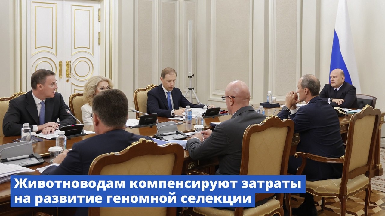 Минсельхоз России VK Животноводам компенсируют затраты на развитие геномной селекции Государство возместит племенным хозяйствам часть затрат на проведение молекулярной генетической экспертизы племенного молодняка крупного рогатого скота. Такая экспертиза позволит получить информацию о достоверности происхождения племенного молодняка и наличии у животных генетически обусловленных заболеваний. Кроме того, она даст возможность провести геномные исследования племенной ценности того или иного животного. Размер субсидии составит до 70% от объема фактически понесенных племенными хозяйствами затрат. Средства будут предоставляться в региональные бюджеты и распределяться с помощью государственной информационной системы «Электронный бюджет». Планируется, что в 2025 году в России молекулярную генетическую экспертизу пройдут 110 тыс. животных. Дмитрий Патрушев доложил о мерах поддержки племенного животноводства. Впервые на федеральном уровне предложены специальные меры поддержки, направленные на стимулирование научных разработок и внедрение инновационных методов. Они в первую очередь касаются геномной селекции, которая позволяет быстрее выявлять и закреплять у сельхозживотных полезные продуктивные качества, необходимые для ускорения процессов племенной работы. Одна из мер поддержки – возмещение до 70% затрат на проведение молекулярно-генетических исследований крупного рогатого скота. Эти научные изыскания направлены на повышение темпов прироста продуктивности животных и объемов производства продукции животноводства. Как рассказал Дмитрий Патрушев, в текущем году из федерального бюджета на эти цели предусмотрено почти 500 млн рублей. Поддержку смогут получить любые племенные хозяйства России, которые будут применять инструменты геномной селекции в своей работе. Кроме того, мера будет востребована у компаний, участвующих в реализации Федеральной научно-технической программы развития сельского хозяйства. «Рассчитываем, что в 2025 году средства могут получить порядка 400 заявителей. В дальнейшем сумму, предусмотренную на это направление, планируем увеличивать», – заявил вице-премьер. Михаил Мишустин поручил вице-премьеру Дмитрию Патрушеву держать вопросы развития племенного животноводства на личном контроле.