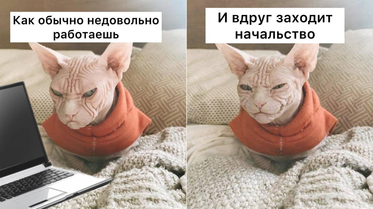 Россиян могут уволить за ворчание и нытье на работе юристы Такое поведение может быть расценено как подрыв деятельности компании поскольку проявления недовольства отвлекают коллег от работы и нарушают трудовую дисциплину Сначала сотруднику могут сделать замечание затем объявить выговор а в дальнейшем уволить Кстати Хабаровск