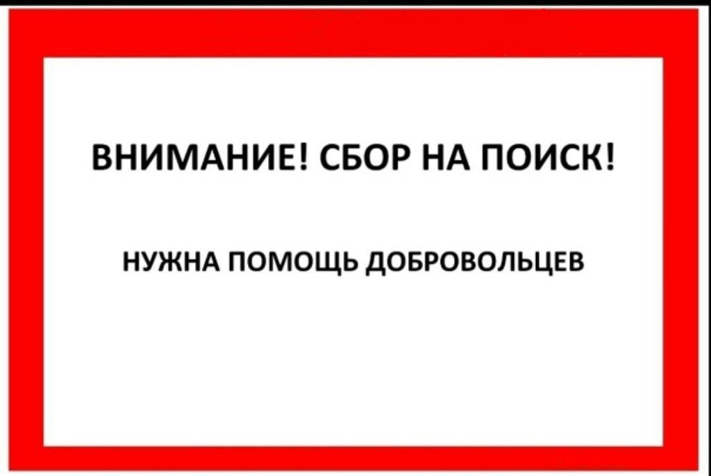 Внимание В районе горы Вайда пропала семья из четырёх человек включая несовершеннолетнего подростка Требуется помощь волонтёров для участия в поисках В 10 00 из Южно Сахалинска выехал поисково спасательный отряд им Полякова Если вы готовы помочь Наденьте удобную одежду и обувь Возьмите воду перекус зарядное устройство и фонарик Не выходите на поиски в одиночку Желающих оказать помощь в поиске пропавших просим звонить старшему группы волонтёров Виталию по телефону 8 914 751 26 62 Время и место сбора будут сообщены дополнительно По всем вопросам обращаться по телефону 8 914 751 26 62 Виталий