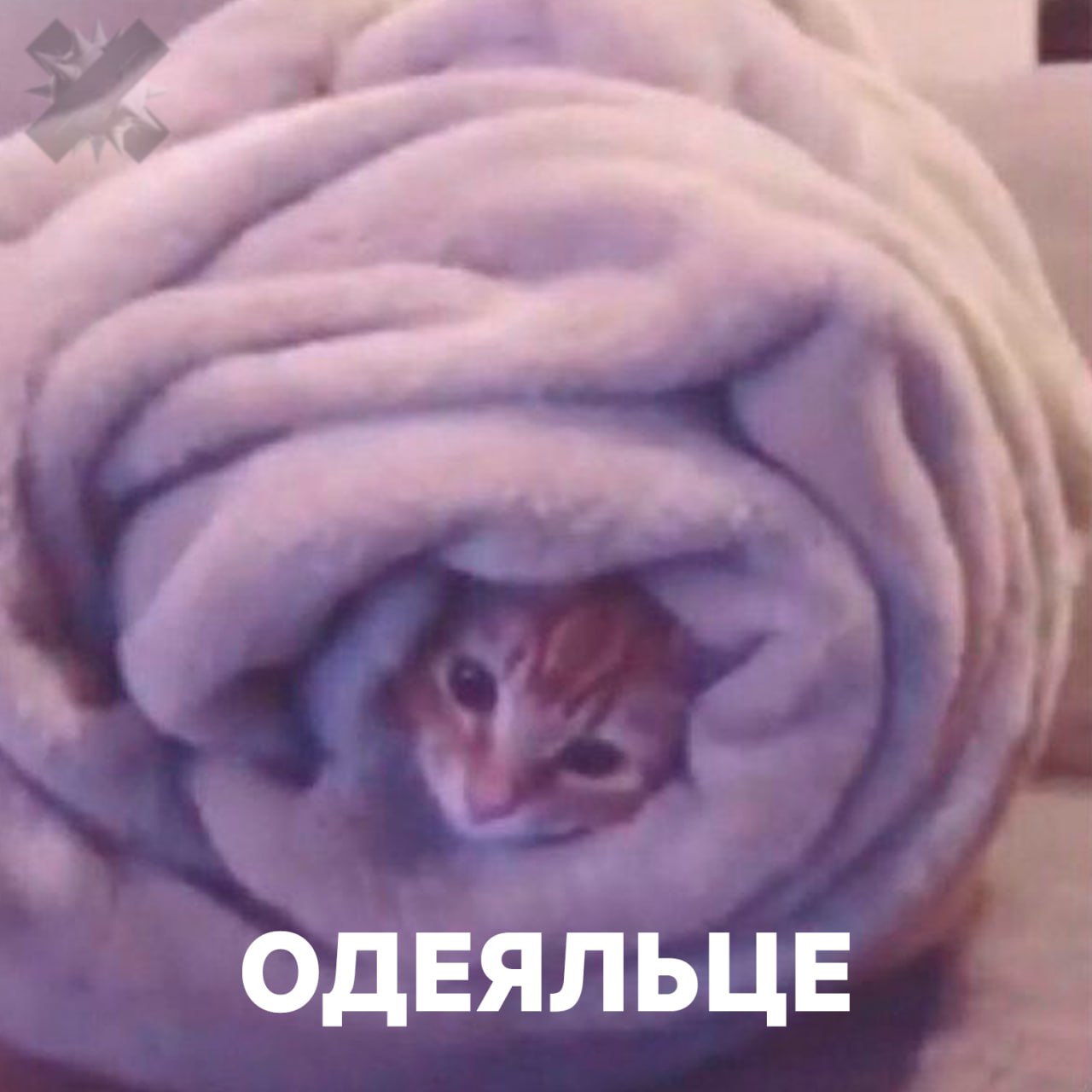 Утяжелённые одеяла помогают при СДВГ и депрессии Исследования показали что глубокое давление от утяжелённого одеяла работает как мягкие объятия оно стабилизирует нервную систему снижает тревожность и помогает быстрее расслабиться людям с СДВГ и депрессивными состояниями Для остальных эффект не такой выраженный но одеяло всё равно полезно  улучшает сон  снижает стресс в течение дня  помогает быстрее засыпать Но есть противопоказания Утяжелённые одеяла нельзя использовать  детям  пожилым  людям с астмой апноэ и сердечными проблемами Перед покупкой врачи рекомендуют обязательную консультацию   люблю такие одеяла у меня есть с кем обниматься НМШ