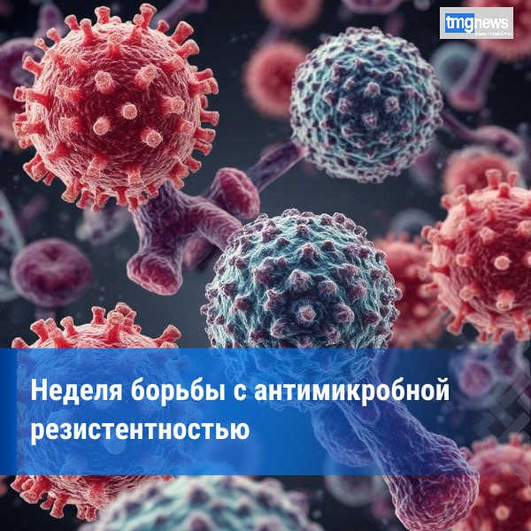 В России стартовала Неделя борьбы с антимикробной резистентностью С 17 по 23 ноября 2025 года пройдёт Неделя борьбы с антимикробной резистентностью приуроченная к Всемирной неделе повышения осведомлённости о проблеме устойчивости к противомикробным препаратам Этот день был учрежден Всемирной организацией здравоохранения ВОЗ для привлечения внимания к серьезной угрозе здоровья населения Целью является повышение уровня информированности в обществе относительно важности рационального использования антибиотиков и других антимикробных препаратов ВОЗ разработаны рекомендации которым важно следовать каждому человеку использовать антибиотики только по назначению врача завершать полный курс назначенного препарата даже если почувствовали улучшение раньше окончания курса избегать приема антибиотиков без показаний особенно при вирусных инфекциях никогда не делиться своими антибиотиками с другими людьми практиковать профилактику инфекционных заболеваний путем вакцинации правильного питания и гигиены рук Фото Шедеврум