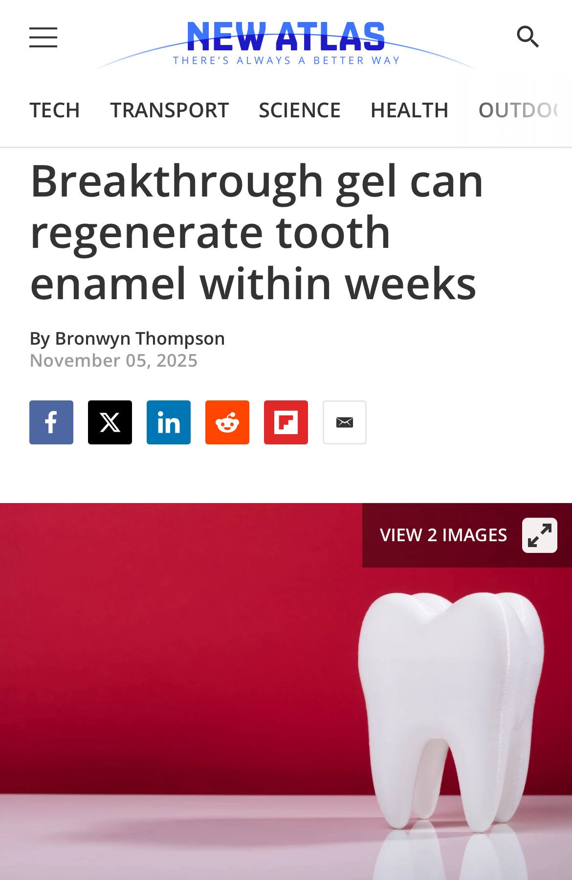 Восстановление эмали Исследователи из Университета Ноттингема создали уникальный гель на основе белков способный восстанавливать разрушенную зубную эмаль здоровье Новый подход открывает возможность регенерации защитного слоя зубов ранее считавшегося невосполнимым investing investing