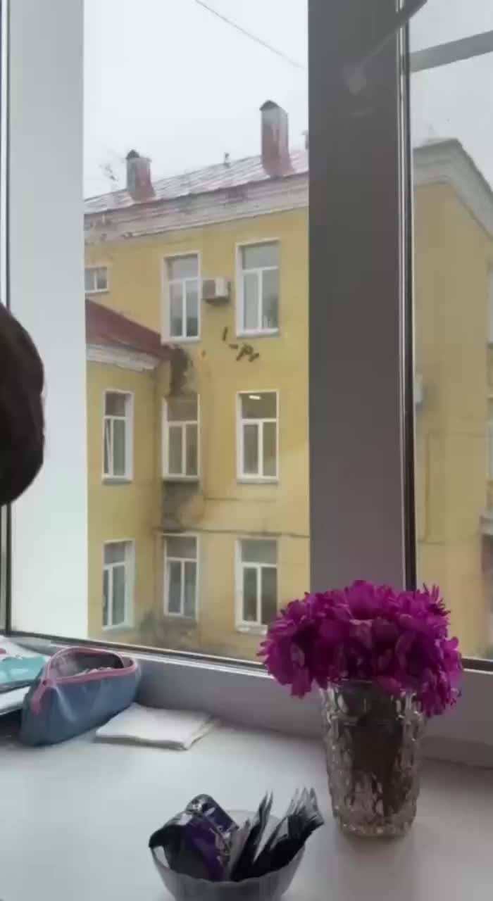 Белки провели забег по стенам больницы в Кирове