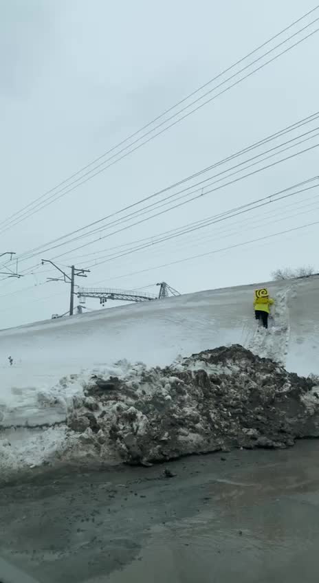 Роспотребнадзор вводит обязательные санитарные правила для курьеров и дарксторов