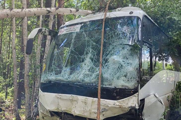 На трассе под Братском автобус с людьми врезался в УАЗ. Авария произошла днём 17 июля на трассе «Вилюй». Пассажирский автобус столкнулся с УАЗом. По предварительным данным, в салоне находились около 30 человек. Подробности о пострадавших пока уточняются. На месте работают спасатели и полиция. Об аварии сообщил мэр Братска Александр Дубровин. Подписаться Прислать новость