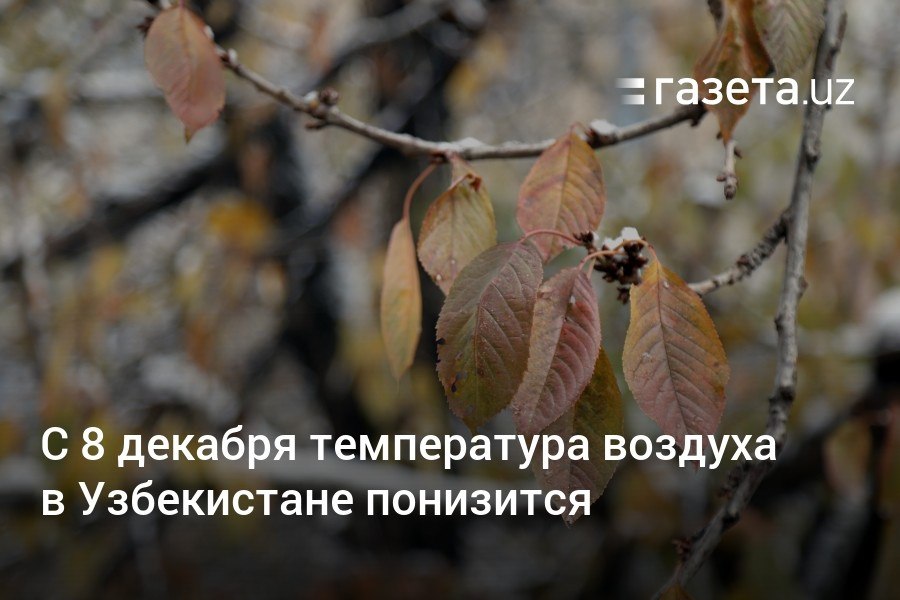 8 декабря на территорию Узбекистана начнётся вторжение холодной воздушной массы с севера, местами пройдёт снег. Ночью будет наблюдаться минусовая температура, в начале следующей недели она ещё больше понизится.     Telegram     Instagram     YouTube