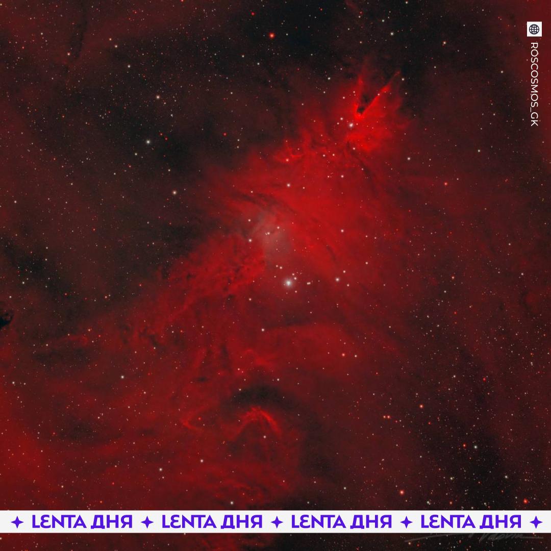 Россиянам показали космическую ёлку накануне Рождества Роскосмос опубликовал снимки звёздообразования NGC2264 которое из за формы по простому называют Рождественская ёлка В неё входит Коническая туманность и туманность Лисий мех а находится вся эта красота в созвездии Единорога   какую же красоту создаёт природа Подпишись на Ленту дня MAX ТГ