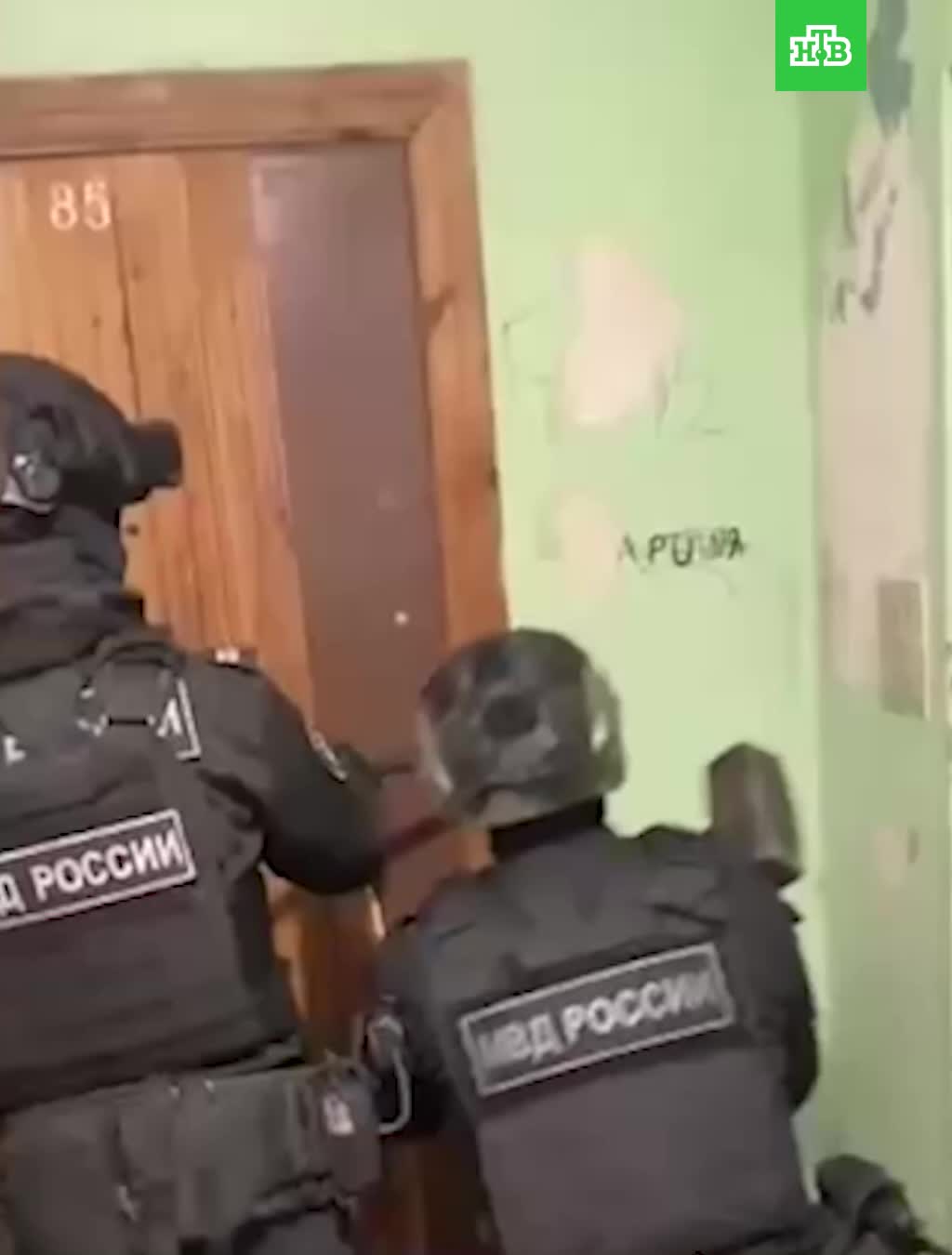 В Петербурге раскрыта мошенническая схема с КАСКО: задержаны 12 человек