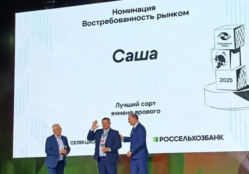 Омские ученые вошли в число лучших селекционеров России На Всероссийском форуме Русское поле 2025 вручили премию Селекционный прорыв В номинации Востребованность рынком победил сорт ярового ячменя Саша выведенный в Омском аграрном научном центре Отличительной чертой омского ячменя является высокая урожайность устойчивость к полеганию и засухе а также невосприимчивость к болезням Министр сельского хозяйства Омской области Николай Дрофа поздравил коллектив центра с успехом и пожелал новых научных открытий поздравляем омичей