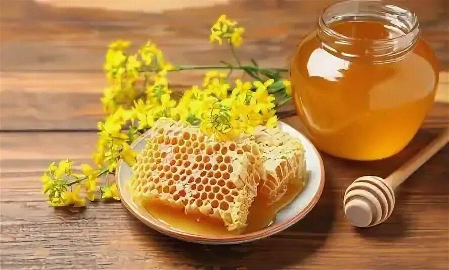 Турецкий мёд вошёл в Книгу рекордов Гиннесса как самый дорогой в мире В районе Илгаз провинция Чанкыры 1 килограмм каракован мёда был продан за 11 118 евро около 557 000 лир Продажа официально зафиксирована Книгой рекордов Гиннесса как мировой рекорд Но есть нюанс речь идёт не о рыночной цене на мёд а об аукционной покупке с благотворительной целью Покупка носила символический характер это был способ поддержать студентов а не отражение реальной стоимости продукта Каракован это не сорт мёда а способ производства пчёлам не дают искусственную вощину и готовые соты они полностью строят соты сами без вмешательства человека Поэтому такой мёд считается более натуральным Но все таки его рыночная цена в Турции обычно не превышает 3000 лир за кг Предыдущий мировой рекорд составлял 10 000 евро за килограмм Илгазский мёд этот показатель превысил и был официально зарегистрирован как самый дорогой мёд