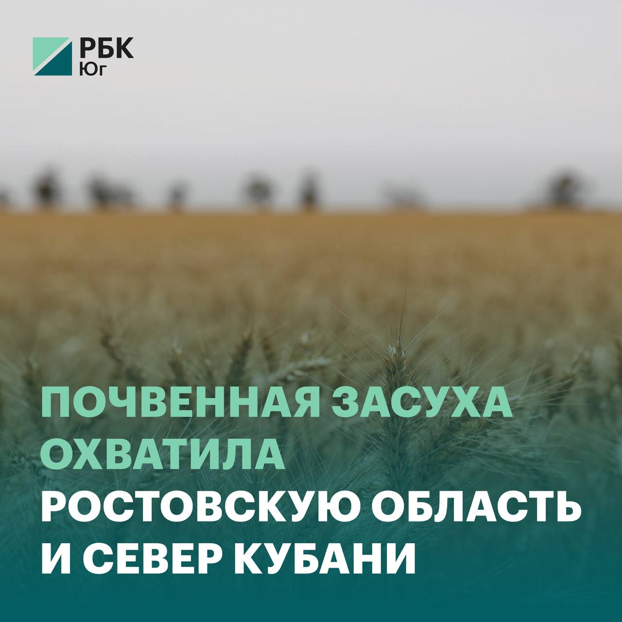 Почвенная засуха охватила Ростовскую область и север Кубани Посевы сельхозкультур по всей Ростовской области, а также в северных районах Краснодарского края под угрозой. Масштаб ситуации больше официальных сводок. Что будет с будущим урожаем Каких районов коснулось ЧС Получится ли минимизировать ущерб Подробнее — в материале. #АПК