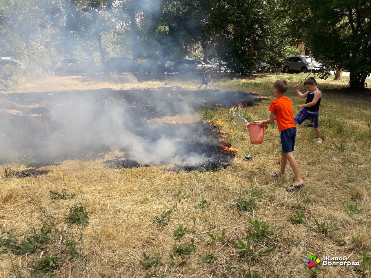 В Волгоградской области троих школьников наградят за мужество 4 ноября в День народного единства медали За проявленное мужество получат Ярослав Ефимов Давид Потафеев и Николай Кубеков Летом они проявили смелость сообщили о возгораниях предотвратили распространение огня и вместе со взрослыми участвовали в тушении Награждение пройдет в рамках всероссийского проекта Дети герои который посвящен поступкам подростков взявших на себя ответственность в сложных ситуациях Живой Волгоград теперь в Мах
