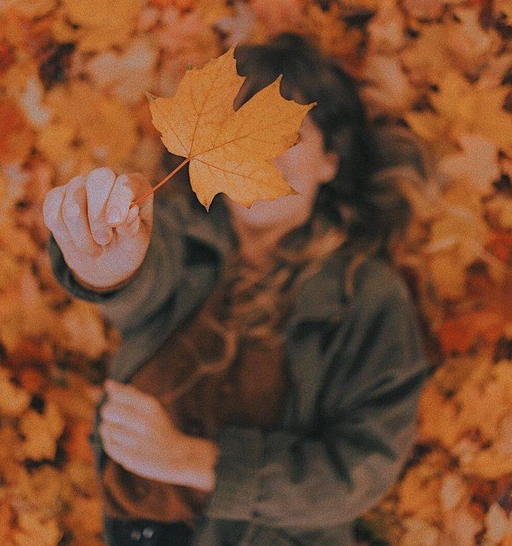 Фотосессии с осенними листьями могут быть вредны для здоровья Минздрав На листьях скапливаются микробы грибки и бактерии Когда их подбрасывают всё это попадает в воздух и может вызвать аллергию А листья у дороги часто покрыты сажей и тяжёлыми металлами Влажная листва идеальное место для паразитов и кишечных инфекций Моя Казань