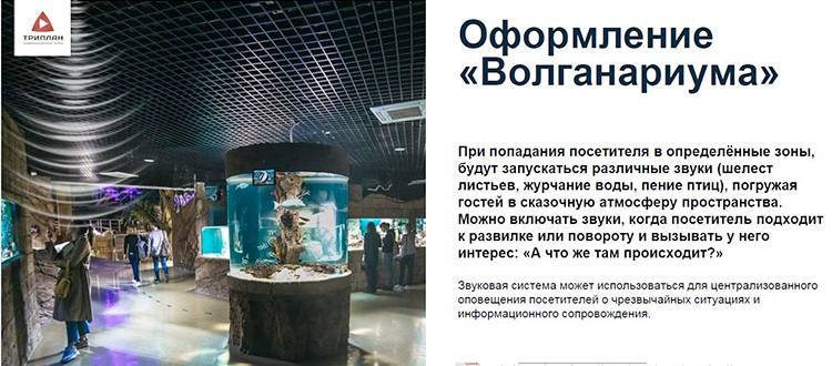 В подземной галерее на Баумана хотят открыть «Волганариум» с аквариумами, где разместят самых больших рыб Согласно концепции, там планируют открыть мощный образовательный и культурный комплекс с самыми крупными экземплярами волжской рыбы, иммерсивными театрами, концертными площадками и ресторан с 3D-эффектами. Стоимость этого проекта может дойти до 1 млрд рублей.