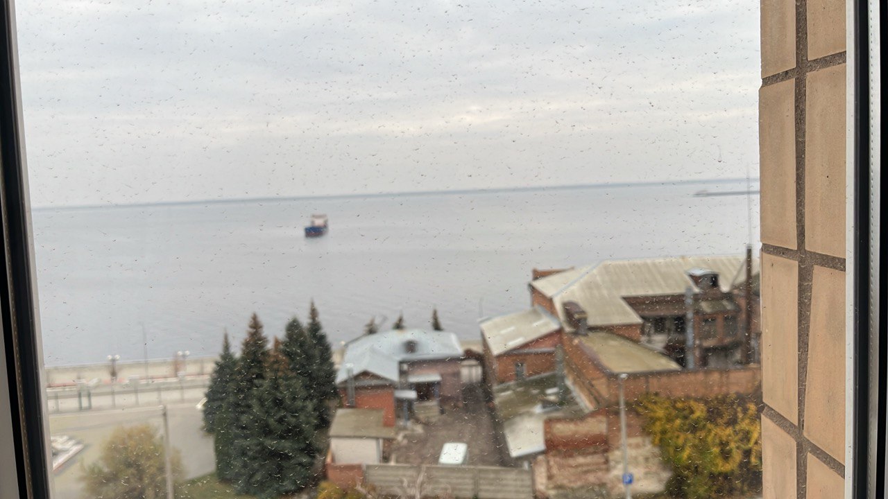 Жители сразу двух районных центров Волгоградской области жаловались на едкий запах газа окутавший населенные пункты минувшим вечером Сообщения о ядовитой вони поступали из Камышина и Николаевска Информация о причинах появления запаха газа сразу в двух населенных пунктах уточняется у экологов и представителей газоснабжающих организаций