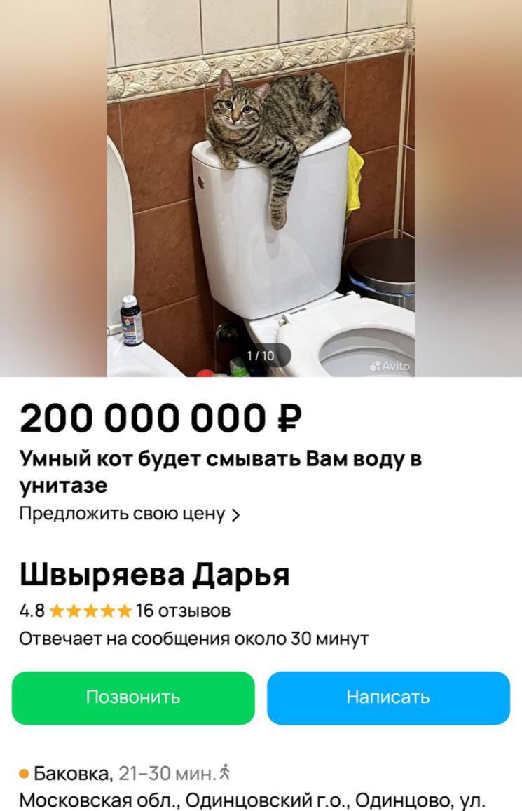 Кота, который будет смывать воду в унитазе, продают за 200 млн рублей в Одинцово   Он будет нажимать на кнопку смыва и за вас, и за себя. По словам хозяйки, кот также снижает риск инфаркта или инсульта на 20%. А ещё тихо мяукает и очень обаятельный.