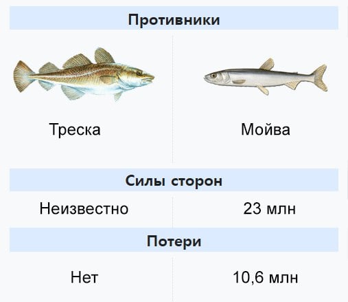 У берегов Норвегии зафиксировали крупнейшее нападение трески на мойву.  Откуда готовилось нападение выяснили американские и норвежские ученые. По данным наблюдений, во время нереста мойва образовала косяк из приблизительно 23 млн особей. Примерно через четыре часа, когда популяция достигла критических показателей, хищная треска поглотила около 10,6 млн рыб