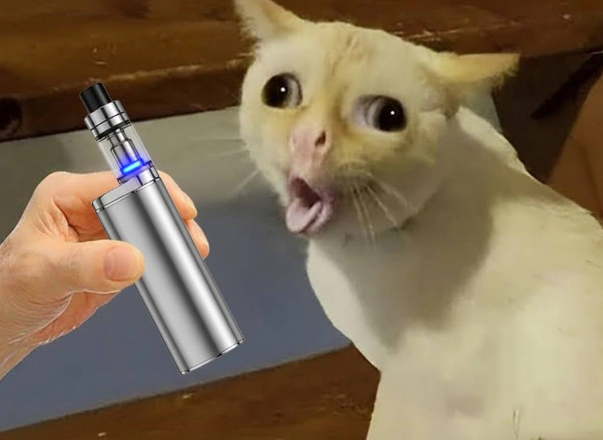 Курение электронок в квартире опасно для домашних животных дым вызывает у них аллергию и удушье Дым может спровоцировать у животных раздражение слизистых и дыхательных путей а за приятным и вкусным паром скрывается куча токсинов Глицерин и пропиленгликоль при нагревании выделяет канцерогенное вещество акролеин А пропиленгликоль входит в состав тормозной жидкости Поэтому приятный сладковатый дым это лишь иллюзия безвредности заявляют ветеринары Также вредны для питомцев освежители воздуха и благовония особенно цитрусовые Их частички оседают на полу лапках и шерсти которые животные потом слизывают Ты знаешь кому это отправить