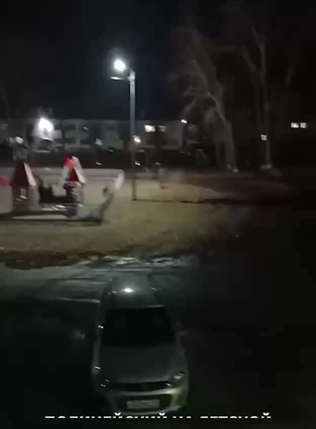 Полицейский застрелил агрессивного алабая в Екатеринбурге: общественное недовольство и жалобы зоозащитников