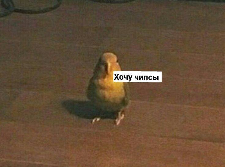 Опиум для народа. Ученые доказали, что ультрапереработанные продукты вызывают зависимость Группа ученых провела исследования, которые подтвердили, что ультрапереработанные продукты, такие как чипсы, газировка, конфеты и печенье, вызывают такую же зависимость, как наркотики и психоактивные вещества. Об этом сообщает aif.ru. Читать полностью , VK и ОК и читайте новости на нашем сайте