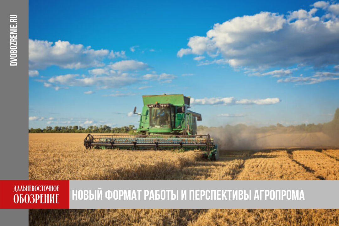 О первой еженедельной стратсессии в правительстве Хабаровского края В правительстве Хабаровского края по инициативе губернатора Дмитрия Демешина ввели еженедельные стратегические сессии с чиновниками Первую встречу посвятили развитию регионального агропромышленного сектора В планах увеличить объемы производства сельскохозяйственной продукции к 2030 году на 25 На данный момент агропромышленный комплекс Хабаровского края дает 1 5 от ВРП При этом как отметили в ходе встречи самообеспеченность по нескольким ключевым видам продуктов остается недостаточной Например потребность жителей в молоке и мясе закрыта на менее чем 10 а в овощах на 32 8 Однако картофеля и яиц произведенных в регионе на прилавках в достатке Их доля на рынке превышает 80 В условиях санкционного давления глобальных вызовов сейчас отличное время для замещения на нашу продукцию И обеспечение продовольственной безопасности это не просто задача экономической безопасности и наш стратегический приоритет это возможность зарабатывания денег на высвобождающихся нишах Наша цель не только повысить уровень самообеспеченности но и использовать потенциал который у нас есть У нас огромный край с массой не вовлеченных в хозяйственный оборот земель Очень плотно необходимо работать с бизнесом наращивать их компетенцию и производственную культуру резюмировал Дмитрий Демешин Дмитрий Демешин также добавил что на контроле у правительства находится поставленная президентом страны задача по увеличению посевных площадей Так к 2030 году планируется задействовать свыше 70 тысяч гектаров земельных участков Подробности в материале ДВ Обозрение Другие новости