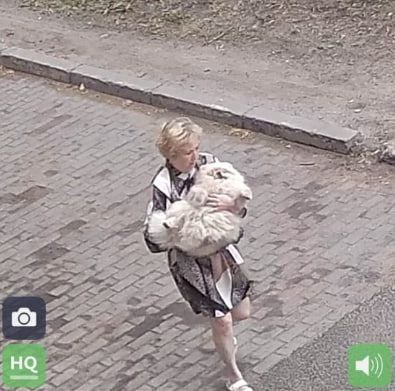 В Сыктывкаре неизвестная похитила собаку во время прогулки Владелица шпица выгуливала питомца возле дома на улице Бабушкина, 31, рядом с Центром коми культуры. Ненадолго отвлекшись, женщина обнаружила, что собака пропала. Просмотр записей с камер наблюдения показал, что животное забрала посторонняя женщина.