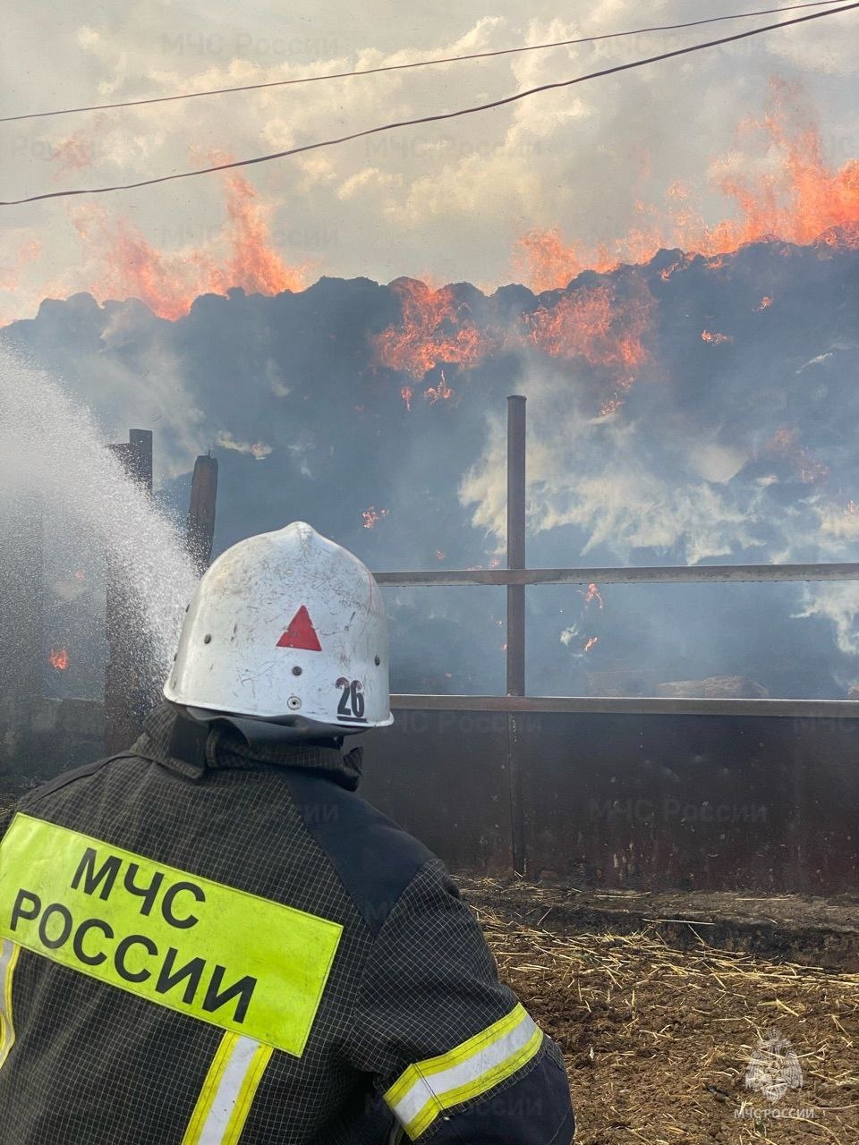 Более 60 пожаров потушили в Крыму с начала недели. "Зафиксировано 10 техногенных пожаров, 1 лесной, 44 возгорания сухой растительности и 6 пожаров, связанных с возгоранием мусора", — сообщили в республиканском главке МЧС России. Уточняется, что к большинству возгораний приводит беспечность людей: курение, сжигание мусора и нарушение правил пользования электроприборами.