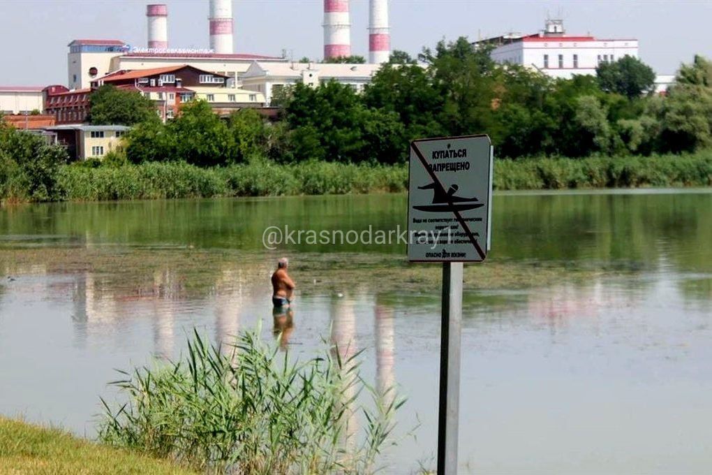 Жителям Краснодара напомнили запрете купания в водоемах города    Гидрологические характеристики реки Кубань  сильное течение, ямы, водовороты , а также состояние воды не соответствуют нормативным показателям.  Берегите себя!  Ваши видео высылайте нам в бот     Подпишись поделись      Прислать  видео новость
