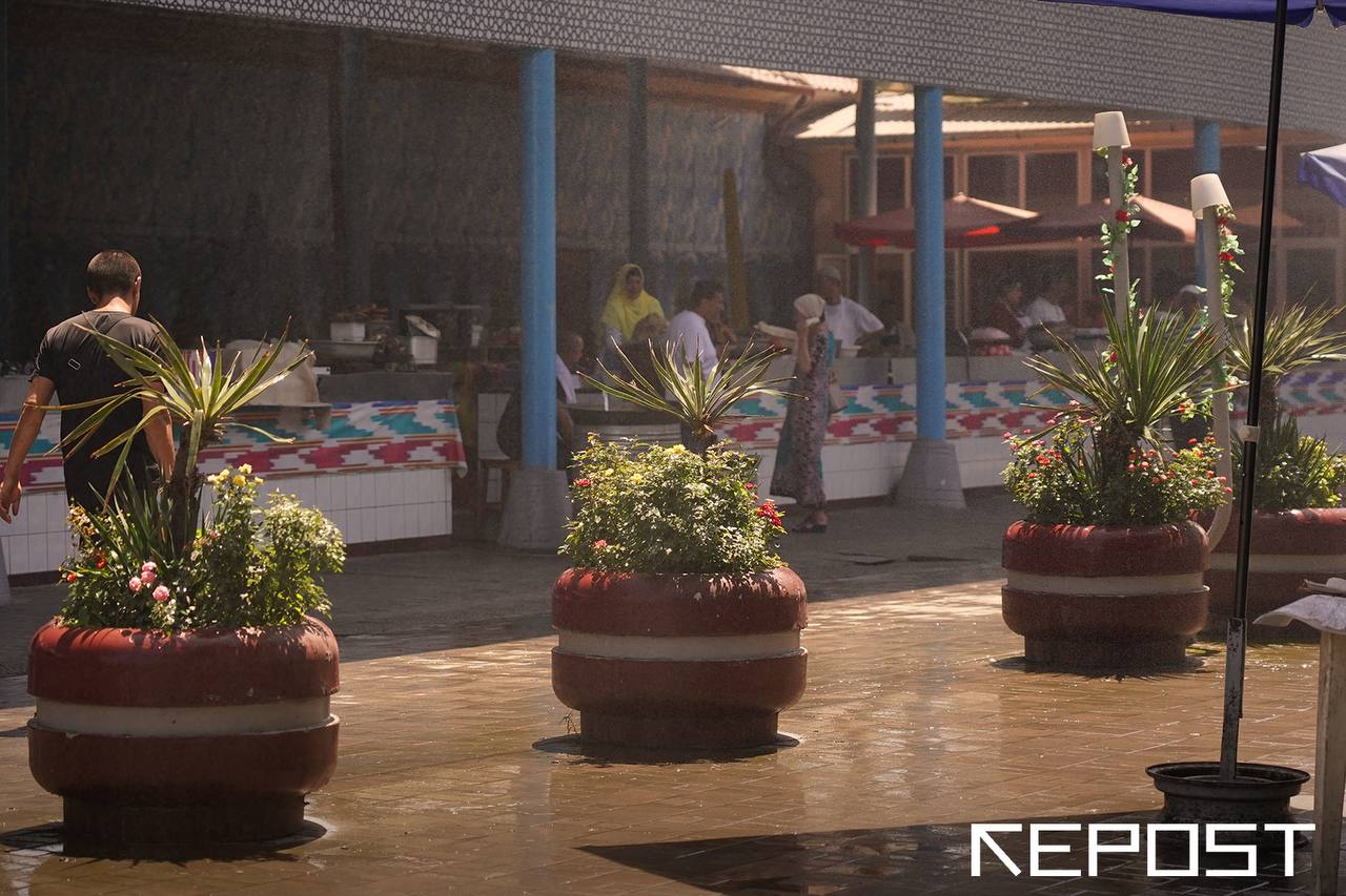 За съемку на рынках и в торговых комплексах Ташкента теперь придется платить В Ташкенте ввели плату за фото и видеосъемку в коммерческих целях на городских рынках и в торговых комплексах Съемка рекламного контента в таких локациях теперь обойдется в 5 млн сумов за час При этом нововведения не касаются иностранных туристов и представителей СМИ Документ утвержденный столичным хокимиятом также включает обновленные тарифы на аренду инвентаря предоставляемые услуги и парковку   repost uz kak to dorogovato vixodit Подписывайтесь на Repost Прислать новость