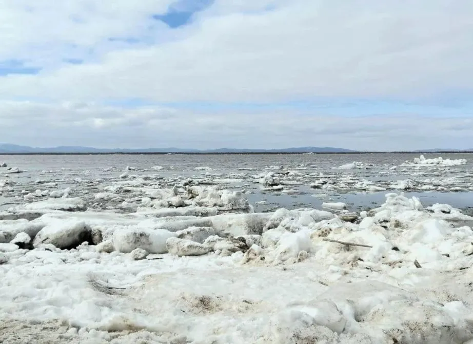 Ледоход у Хабаровска ожидается в ближайшие дни Уровень воды в районе Хабаровска превышает норму на метр уже появились промоины и закраины Полное вскрытие реки у Николаевска на Амуре завершится в первой декаде мая Также фиксируют границу вскрытия реки Уссури в Вяземском районе участок Шереметьево Венюково Интенсивность подъема воды до 48 см сутки Ледоход уже наблюдается на реке Манома В регионе остались только две ледовые переправы в Аяно Майском и Верхнебуреинском районах Еще одну закрыли в Николаевском районе Выходов на лед за сутки не зафиксировано   Спасатели предупреждают сейчас выходить на лед крайне опасно В группе риска рыбаки охотники и туристы При любой опасной ситуации звоните по номеру 112 ХАБАРОВСКИЙ КРАЙ в МАХ