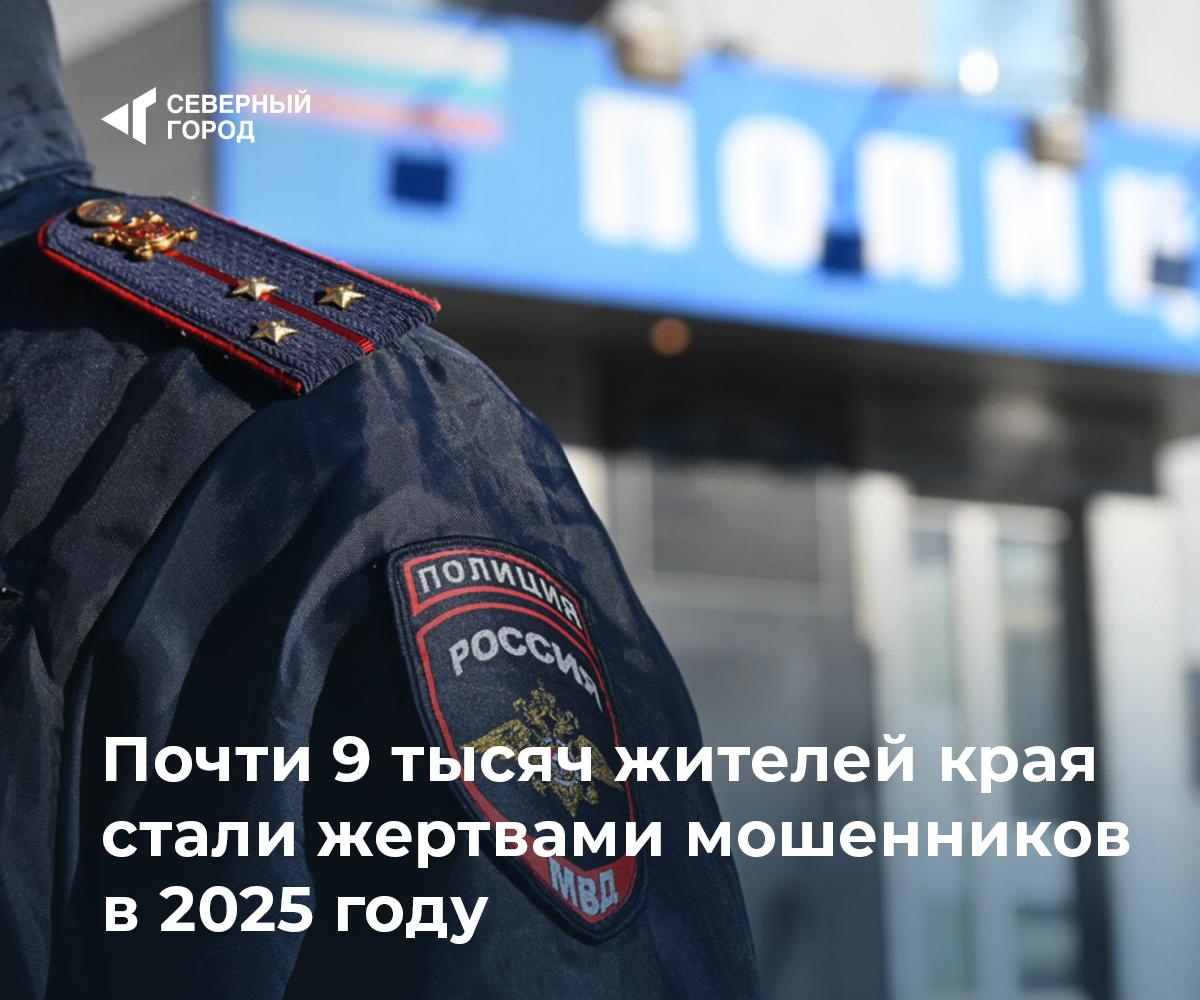 Почти 9 тысяч жителей края стали жертвами мошенников в 2025 году В 2025 году мошенники похитили у жителей Красноярского края более 2 6 миллиарда рублей От действий аферистов пострадали 8 987 человек По данным краевой прокуратуры раскрыто свыше 1 6 тысячи случаев мошенничества это 26 8 процента от общего числа В суды направили 808 уголовных дел связанных с интернет мошенничеством и подали 417 исков на сумму более 153 миллионов рублей Суды удовлетворили 458 исков на общую сумму 177 миллионов рублей В том числе 27 исков о признании кредитных договоров недействительными на 15 2 миллиона рублей При рассмотрении учитывались и дела заявленные еще в 2024 году происшествия sgnorilsk Осторожно мошенники Проверяйте информацию Подписаться на канал